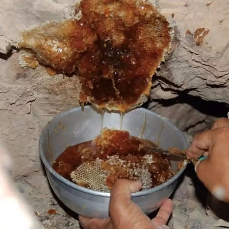عسل طبیعی و اعلا چند گیاه مخصوص موم دار خوانسار - خلوص 95 درصد - 700 گرمی - امکان خرید به صورت اقساطی